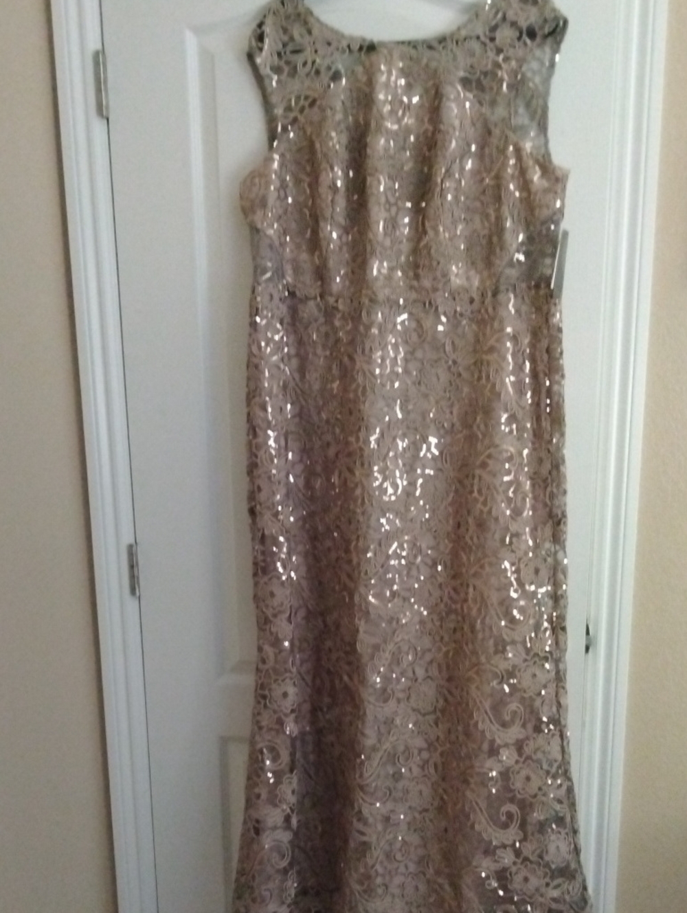Sequin Lace Maxi Dress in Champagne